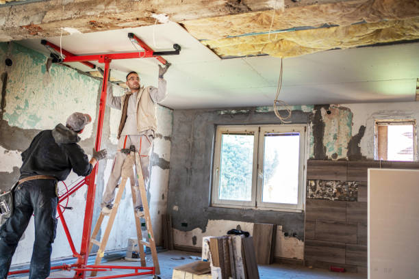 Best Insulation Installation Services in Antwerp, OH